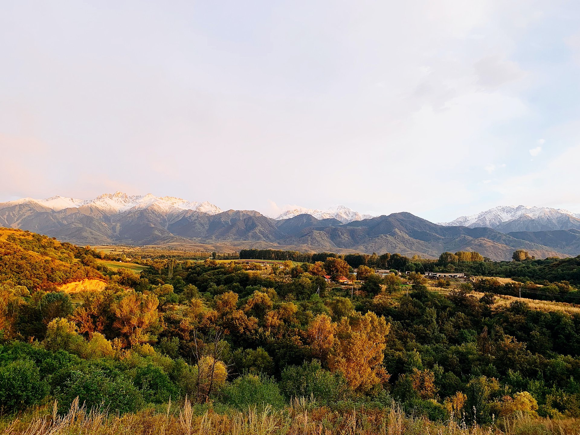 Berge und Wald beim FSJ in Kasachstan.