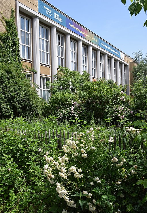 Schulfassade und Bäume beim FSJ in Berlin