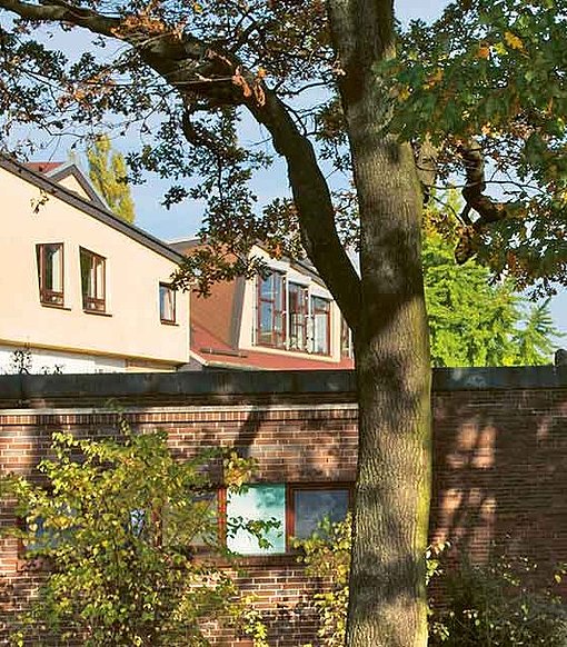 Rosane Schule zwischen Bäumen beim FSJ in Hannover