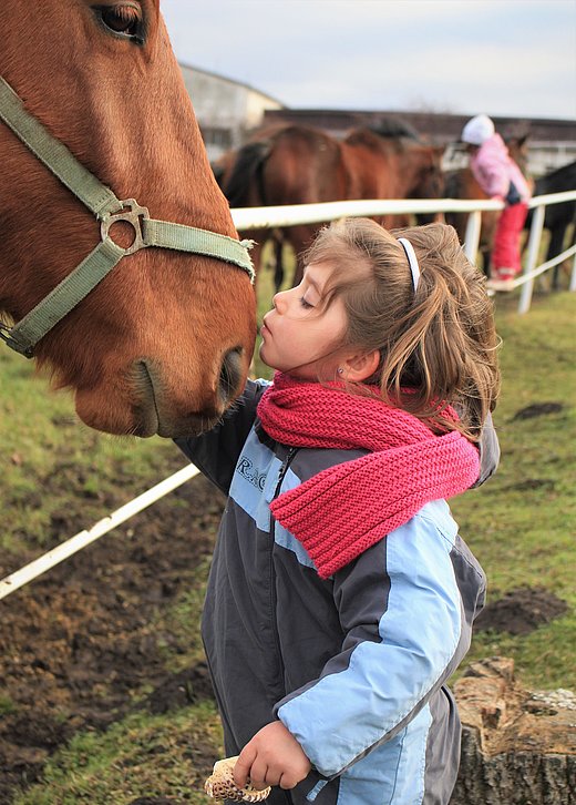 Arbeit mit Kindern und Pferden im FÖJ Ökologie