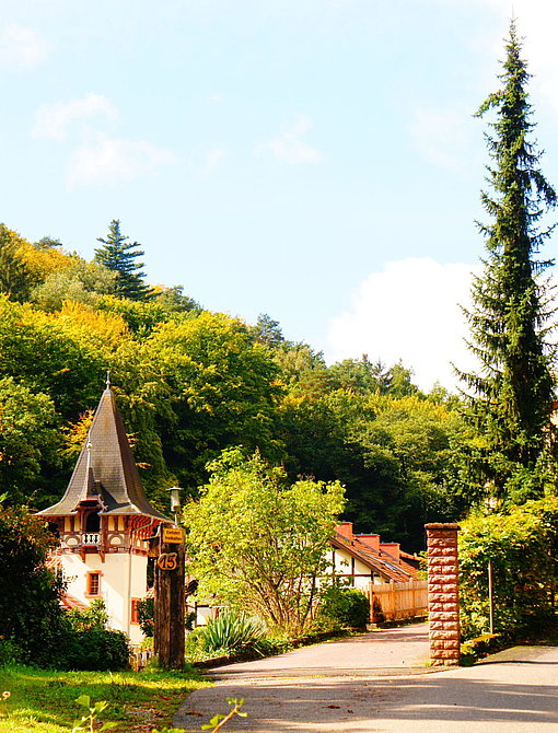 Wälder und Turm beim FSJ in Rheinland-Pfalz