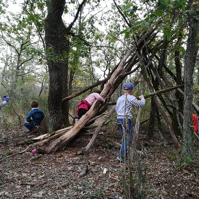 Haus bauen im Wald im FSJ Schule