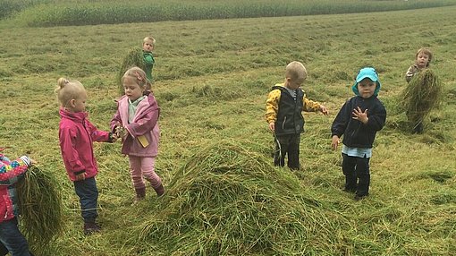 Kinder auf einem Feld beim FSJ in Recklingshausen