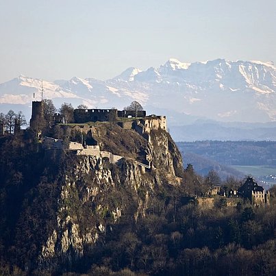 Burg beim FSJ in Singen