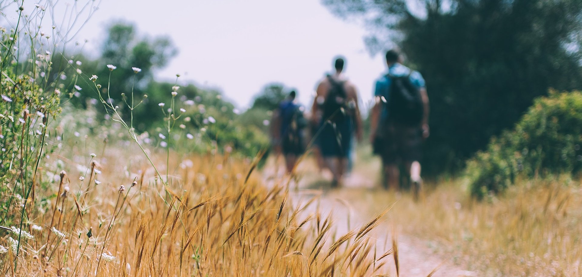 Menschen wandern bei ihrem FSJ