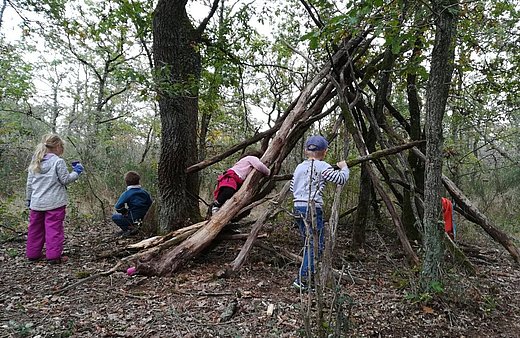  Tippie im Wald beim FSJ in Sachsen