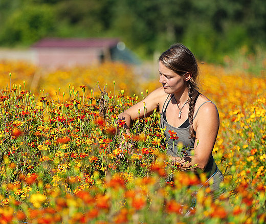 In der Blumenwiese im FÖJ Ökologie
