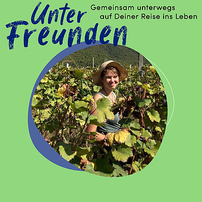 Podcast Episodengrafik mit Merle