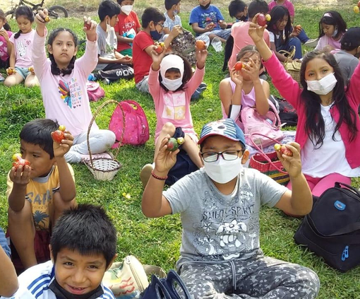 Kinder sitzen auf der Wiese und heben ihre Hände beim FSJ in Peru
