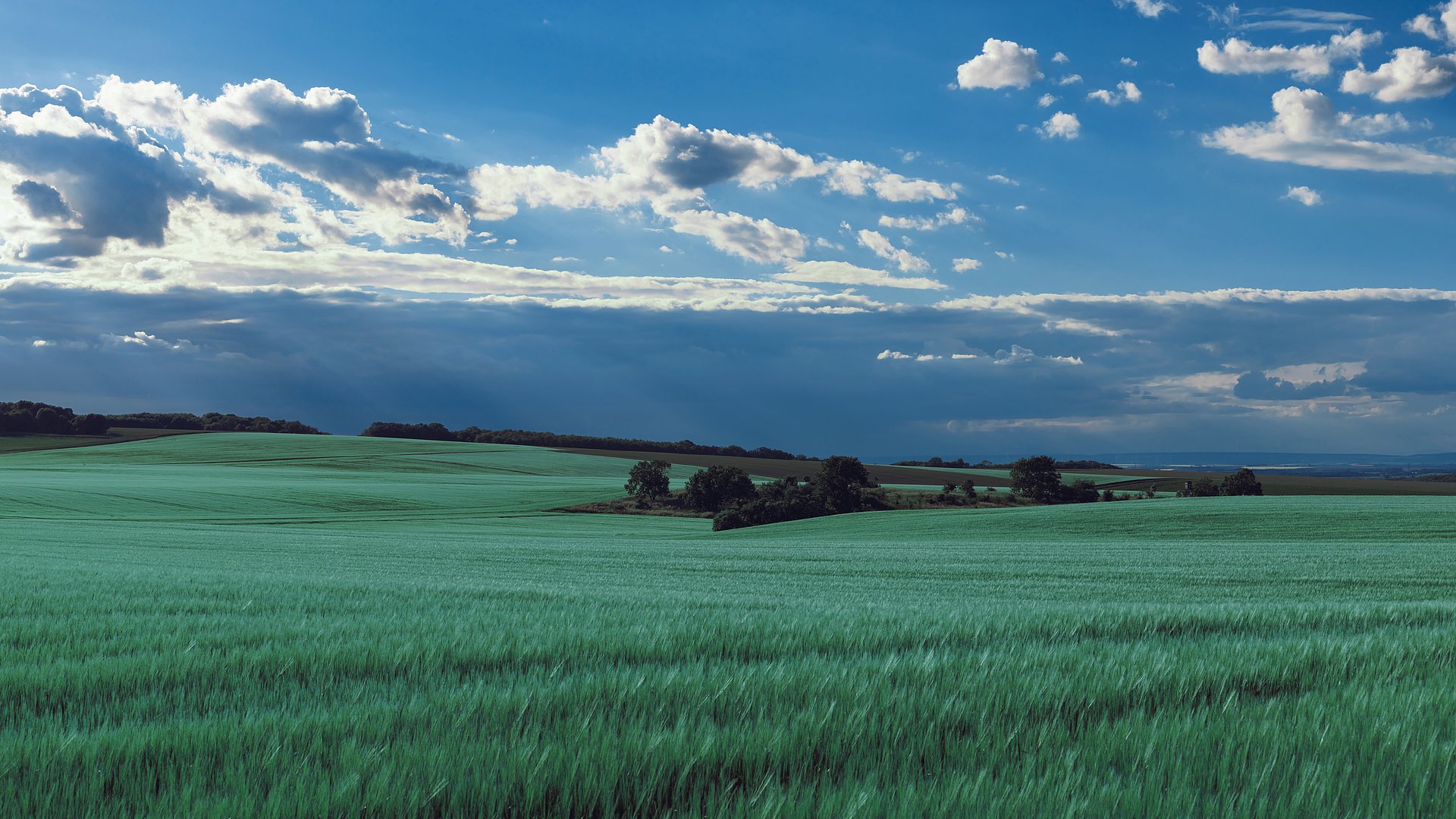 Felder und blauer Himmel beim FSJ in Thüringen