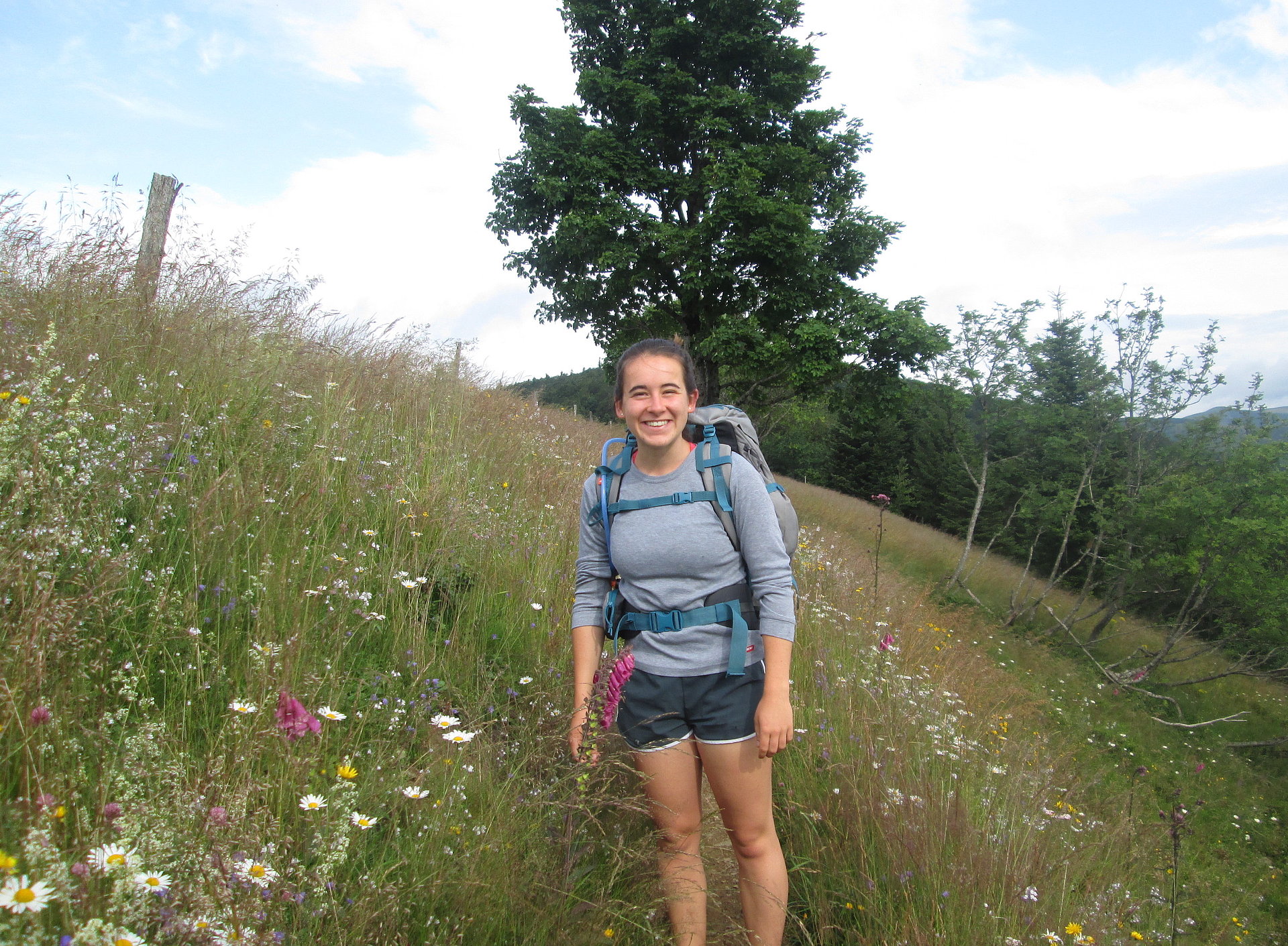 Wandern in den Vogesen im FSJ Frankreich