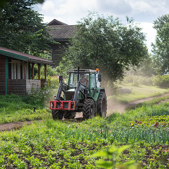 Traktor auf dem Feld im FSJ Bauernhof.