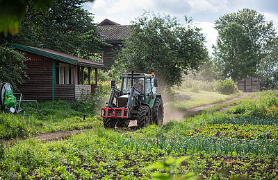 Traktor auf dem Feld im FSJ Bauernhof.