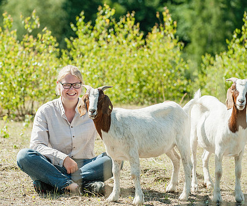 Junge Frau mit Ziege im Gras im FSJ Bauernhof