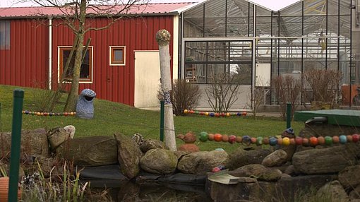 Garten und Teich beim FSJ in Schleswig Holstein