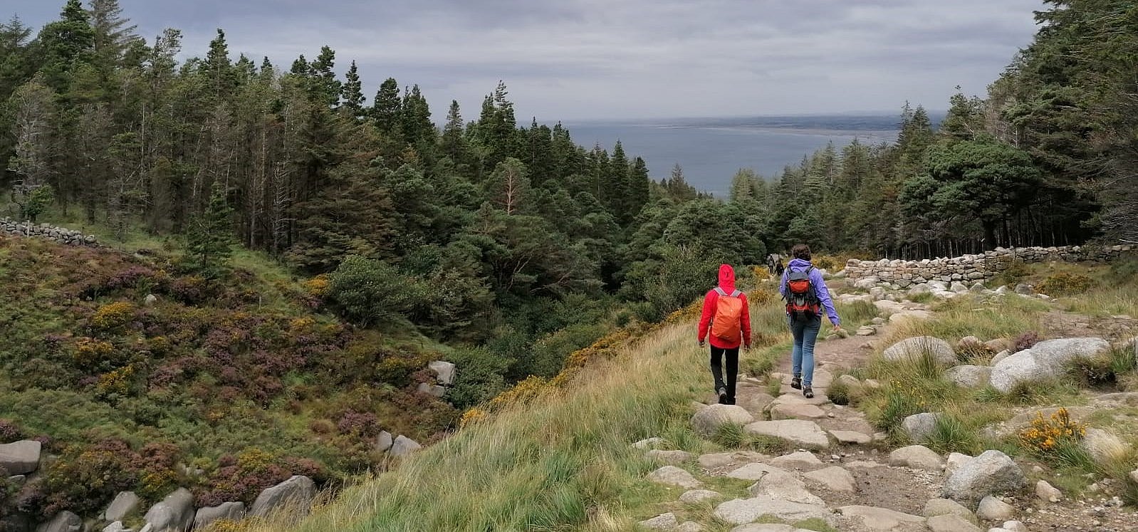 Wanderung beim FSJ in Hamburg