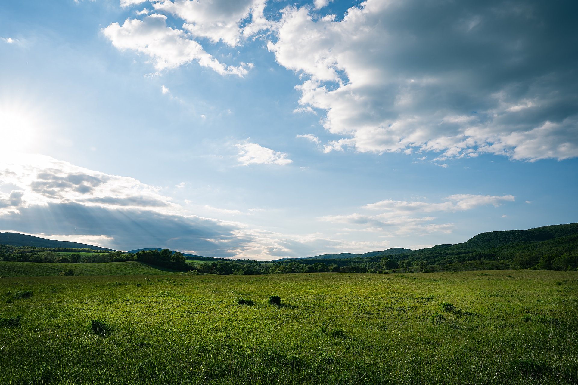 Felder, Wald und blauer Himmel beim FSJ in Ungarn