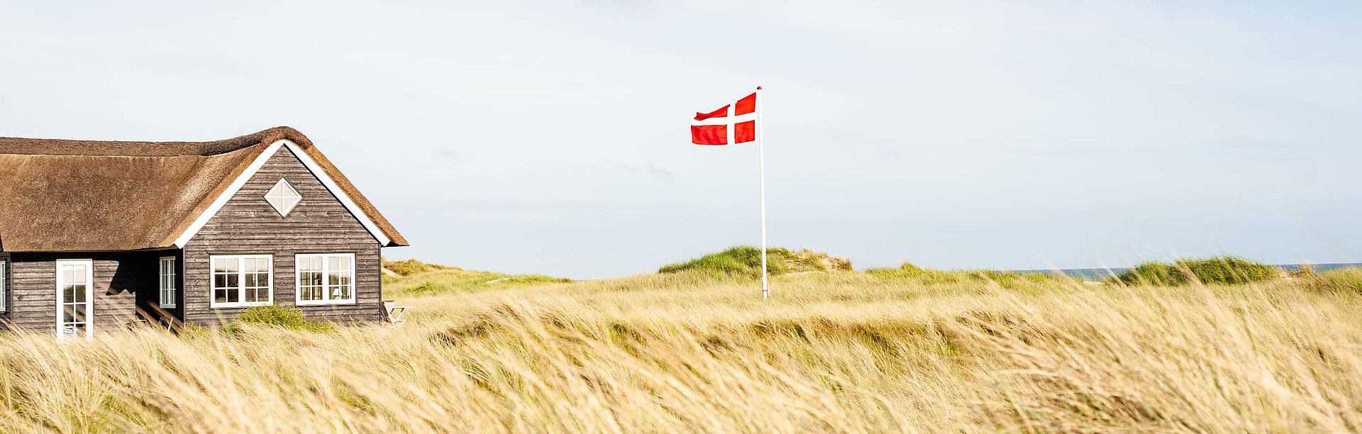 FSJ Dänemark: Dänische Flagge neben Holzhaus