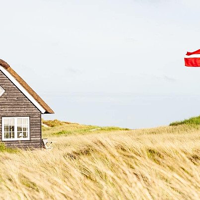 FSJ Dänemark: Dänische Flagge neben Holzhaus