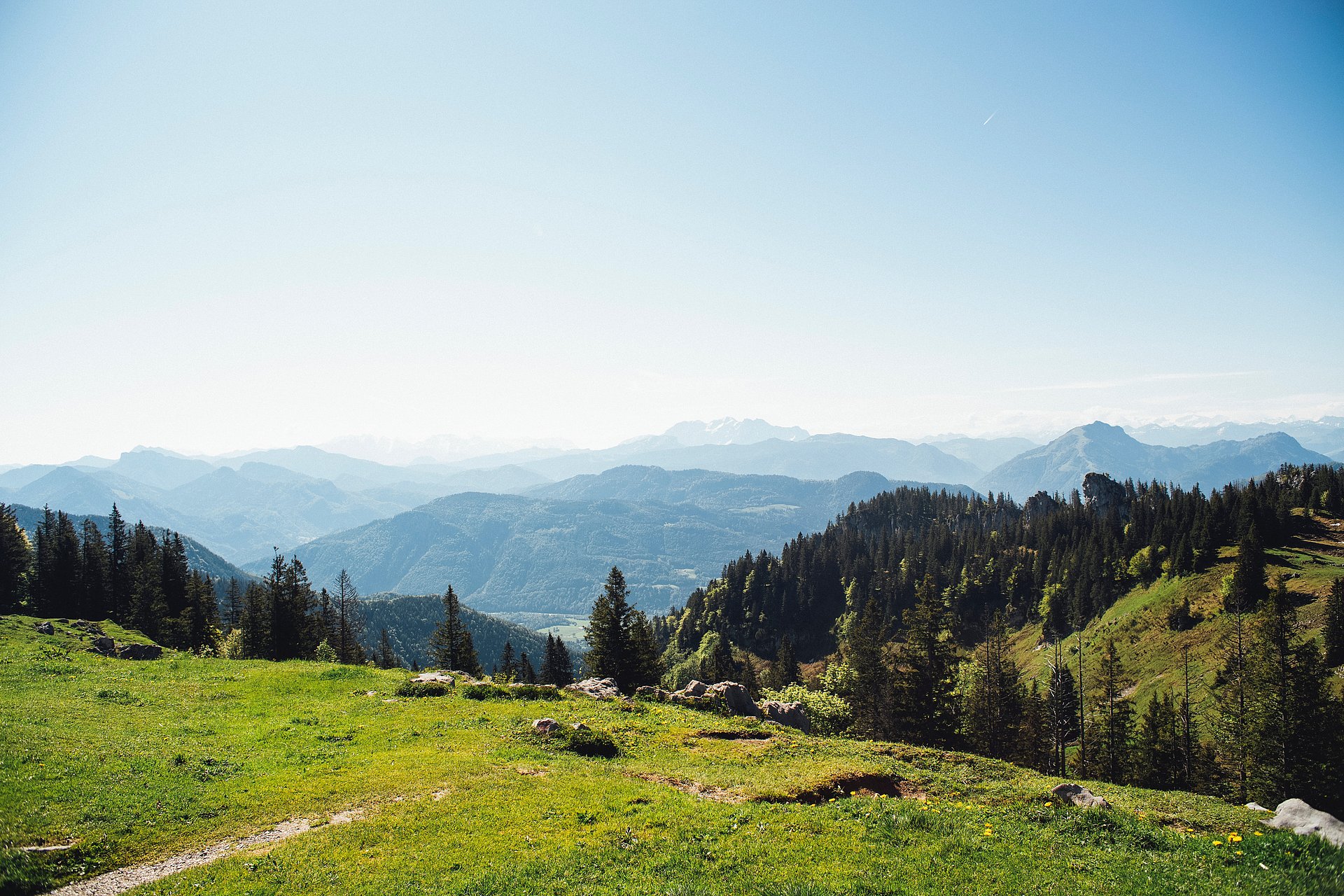 Wiesen, Berge und blauer Himmel beim FSJ in Bayern