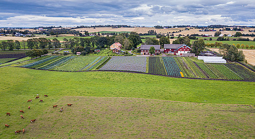 Felder und Bauernhof beim FSJ in Norwegen.