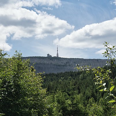 Wälder und kleiner Turm in der Ferne beim FSJ in Sachsen-Anhalt.