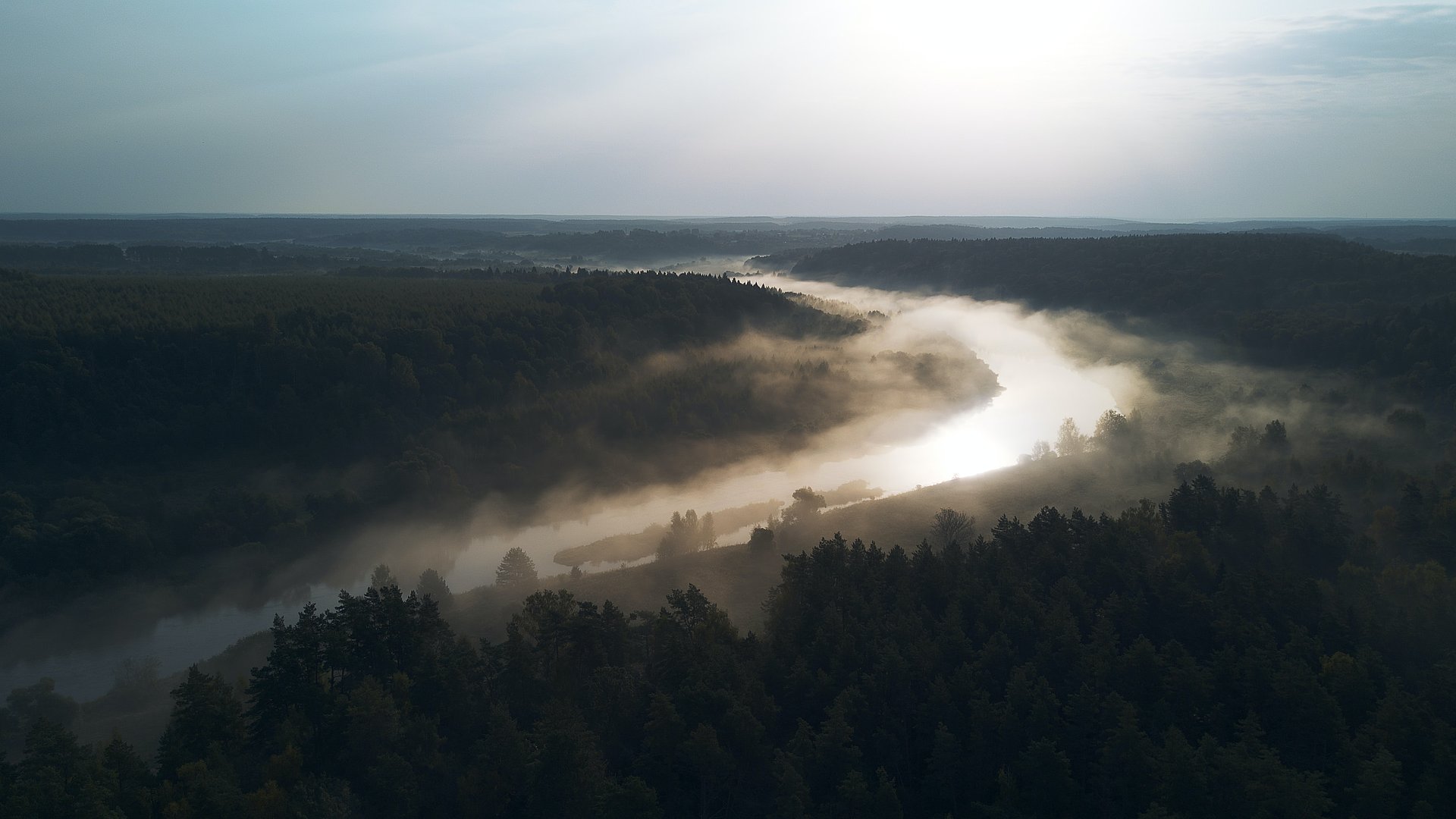 Nebelschwaden im Wald beim FSJ in Russland