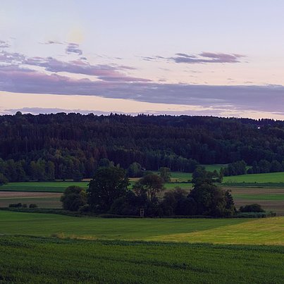 Wiesen und Wald bei Sonnenuntergang beim FSJ in Niedersachsen 