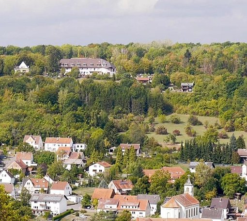 Kleine Stadt beim FSJ im Saarland