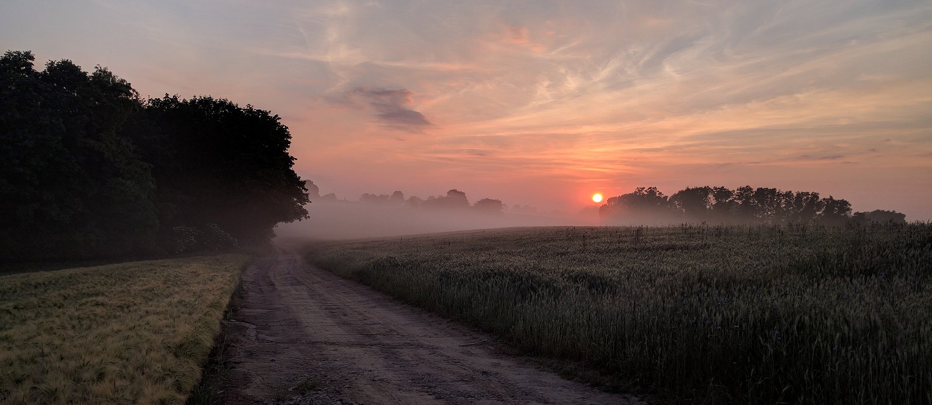 Felder und Sonnenuntergang beim FSJ in Wielowie in Polen