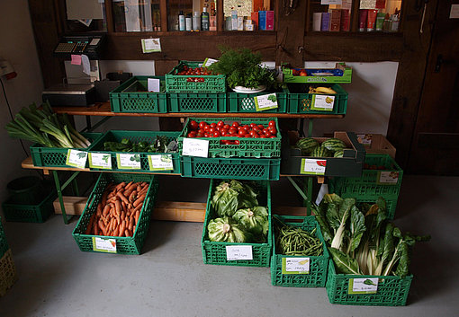 Gemüsekörbe beim FSJ in Niedersachsen