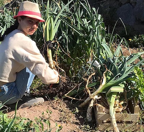 Gartenarbeit beim FSJ in Spanien