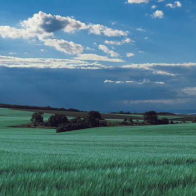 Felder und blauer Himmel beim FSJ in Thüringen
