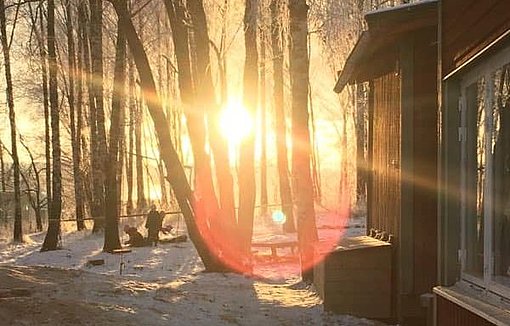 Sonnenstrahl fällt durch den Wald beim FSJ in Schweden