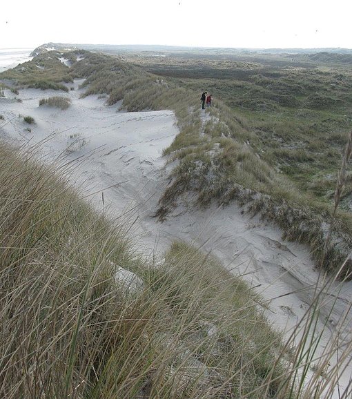 Schöne Dünen am Meer beim FSJ in den Niederlanden