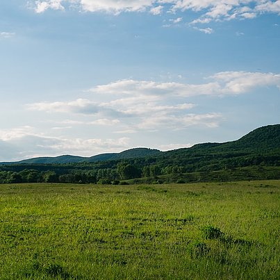 Felder, Wald und blauer Himmel beim FSJ in Ungarn