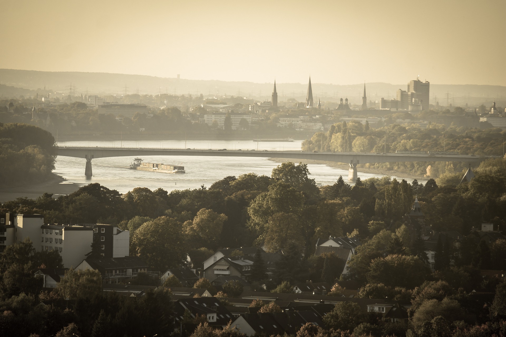 Stadt, Fluss und Brücke beim FSJ in Bonn