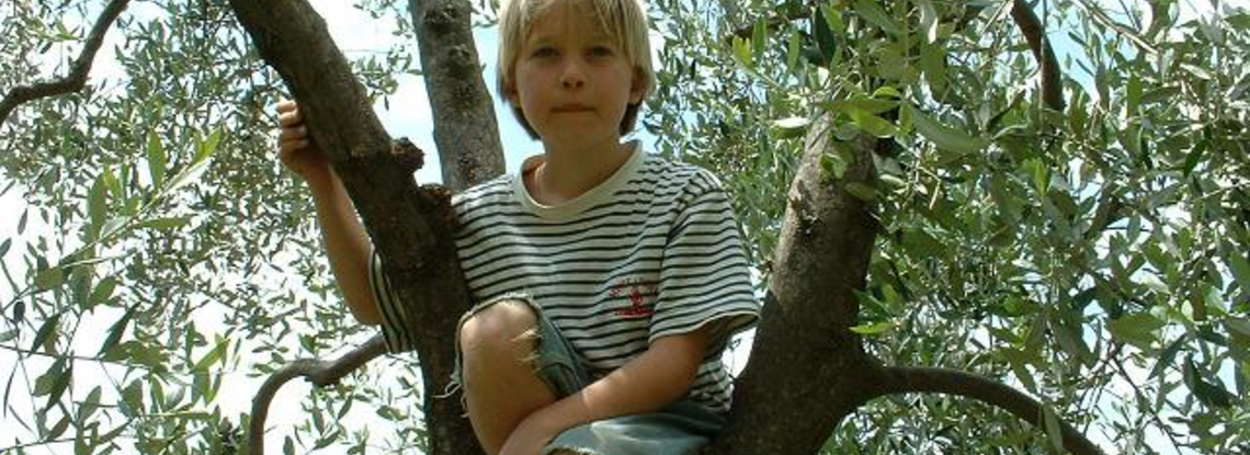 In the tree