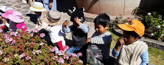 Cusco - Qewar
