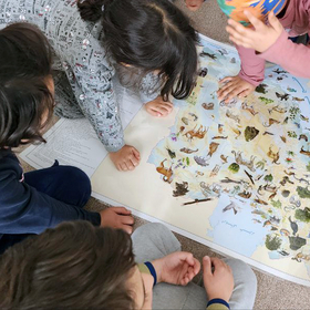 Waldorf Irán Varios niños miran un mapa
