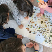 Varios niños miran un mapa