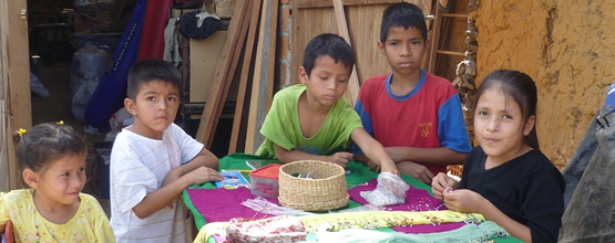 Peru: Estrella del Sauce