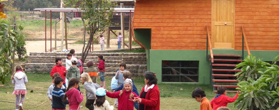 Limache WS