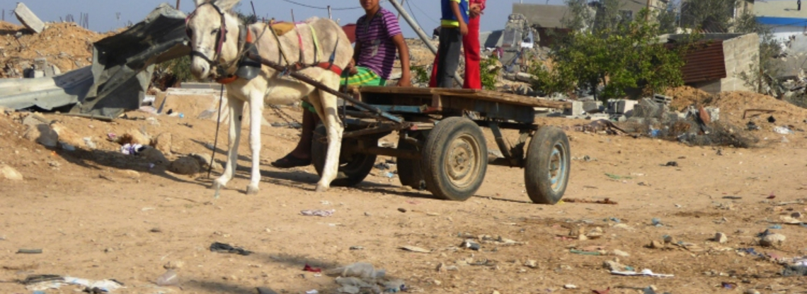 Kinder mit Eselskarre im Gazastreifen 2014